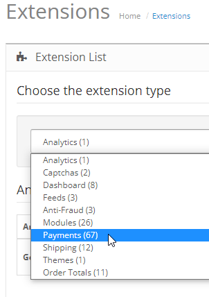 Extension type payment